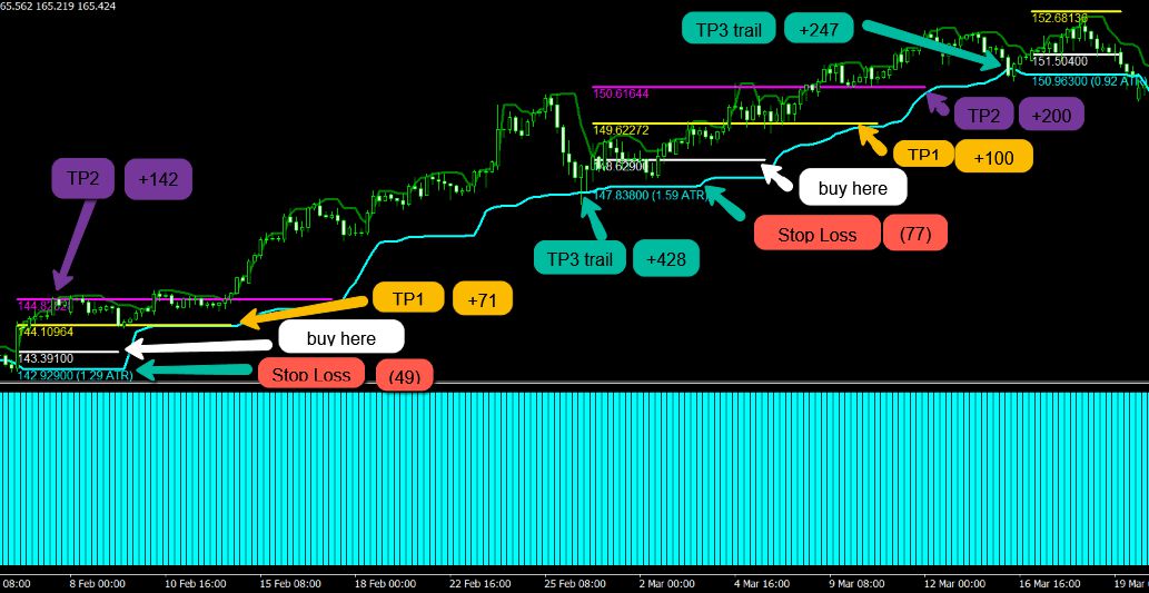 forex-ea-forum-usa-bank-academy-fx-hedge-fund-strategy-v1-0-07