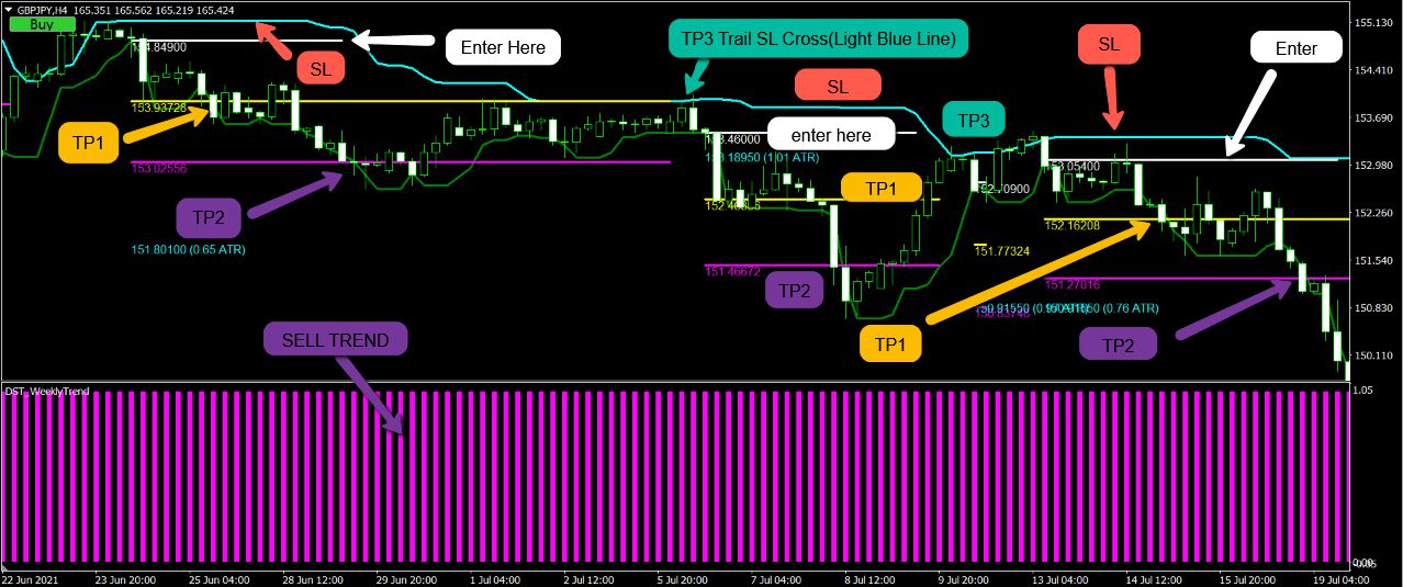 forex-ea-forum-usa-bank-academy-fx-hedge-fund-strategy-v1-0-08